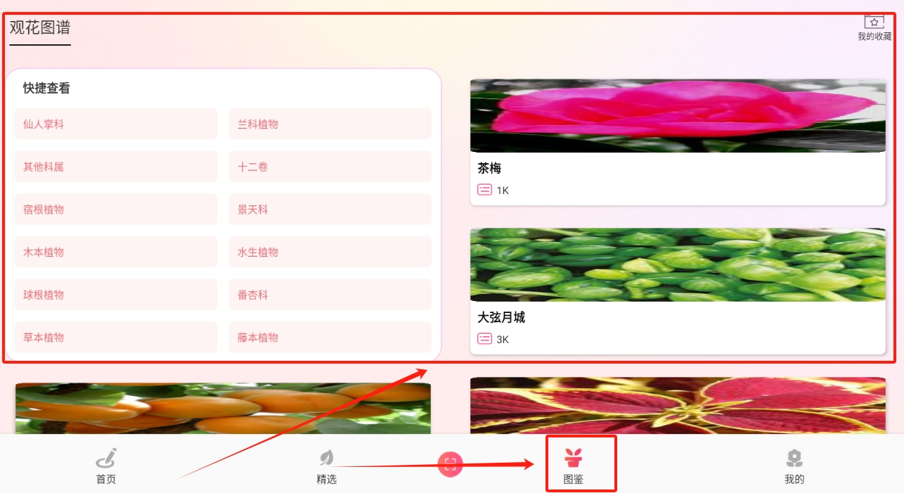 养花宝最新版