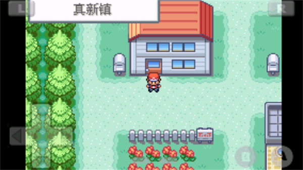 口袋妖怪火红中文版