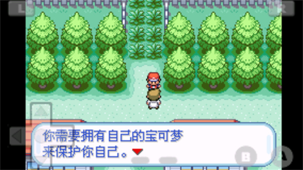 口袋妖怪火红中文版