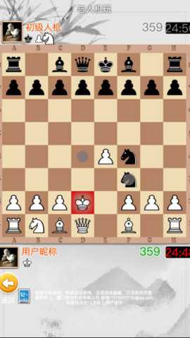 国际象棋大师