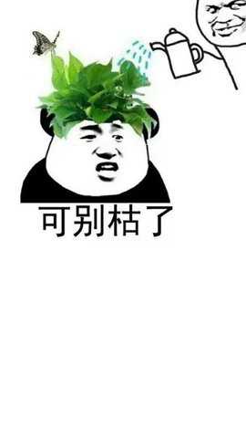 她他社下载