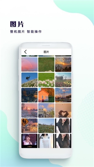 绿雾影视官网版