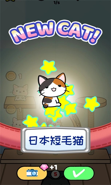 快乐撸猫
