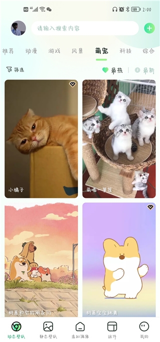 飞火动态壁纸官网版手机版